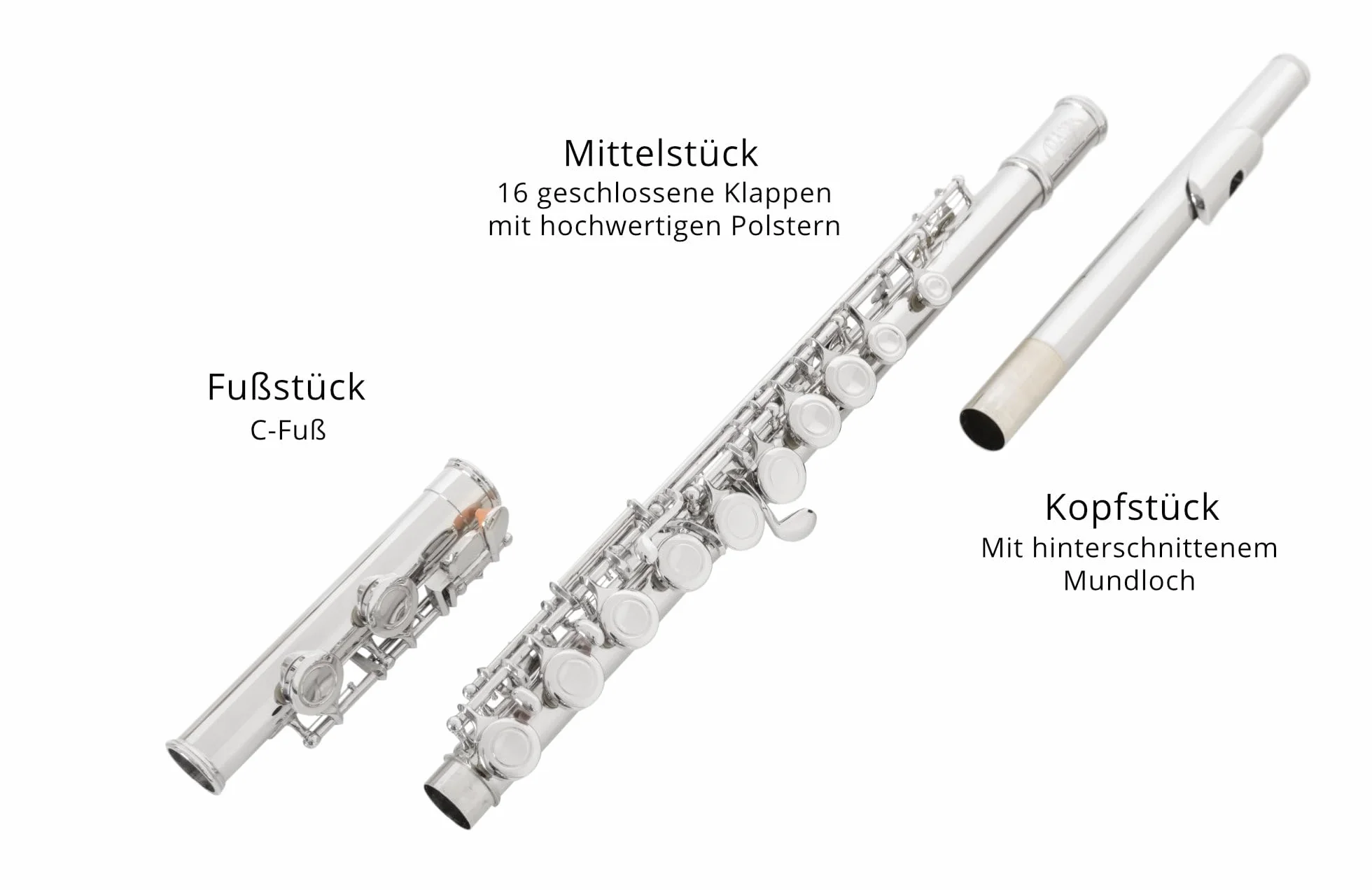 Classic Cantabile FL-100 flet poprzeczny (Świetny instrument dla początkujących, w całości z mosiądzu wysokoniklowego posrebrzanego, zamknięte klapy, e-mechanika, przesunięte G, strojenie C, w