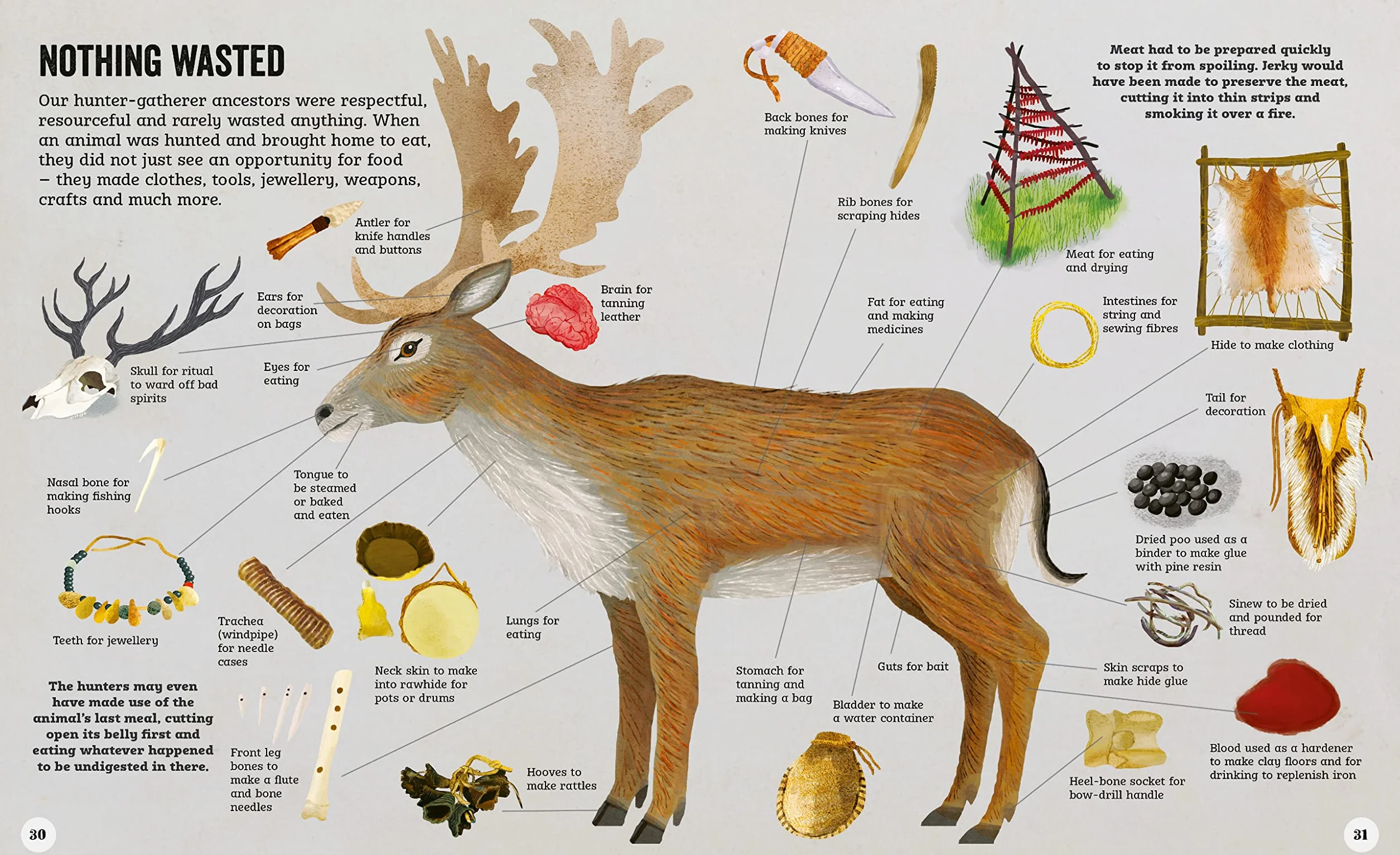 Live Like a Hunter Gatherer: Discovering the Secrets of the Stone Age