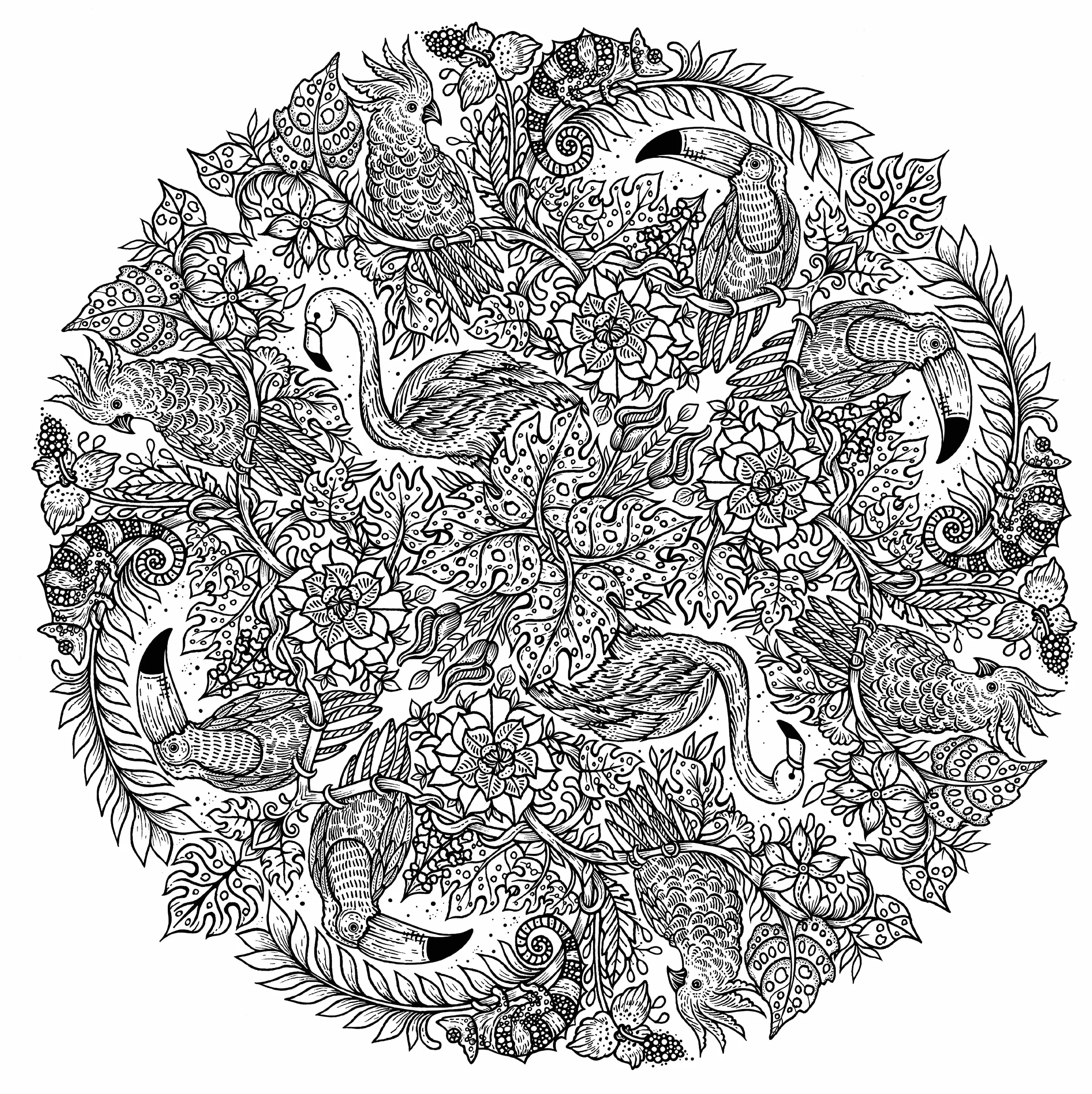 Nature Mandalas: A Colouring Meditation