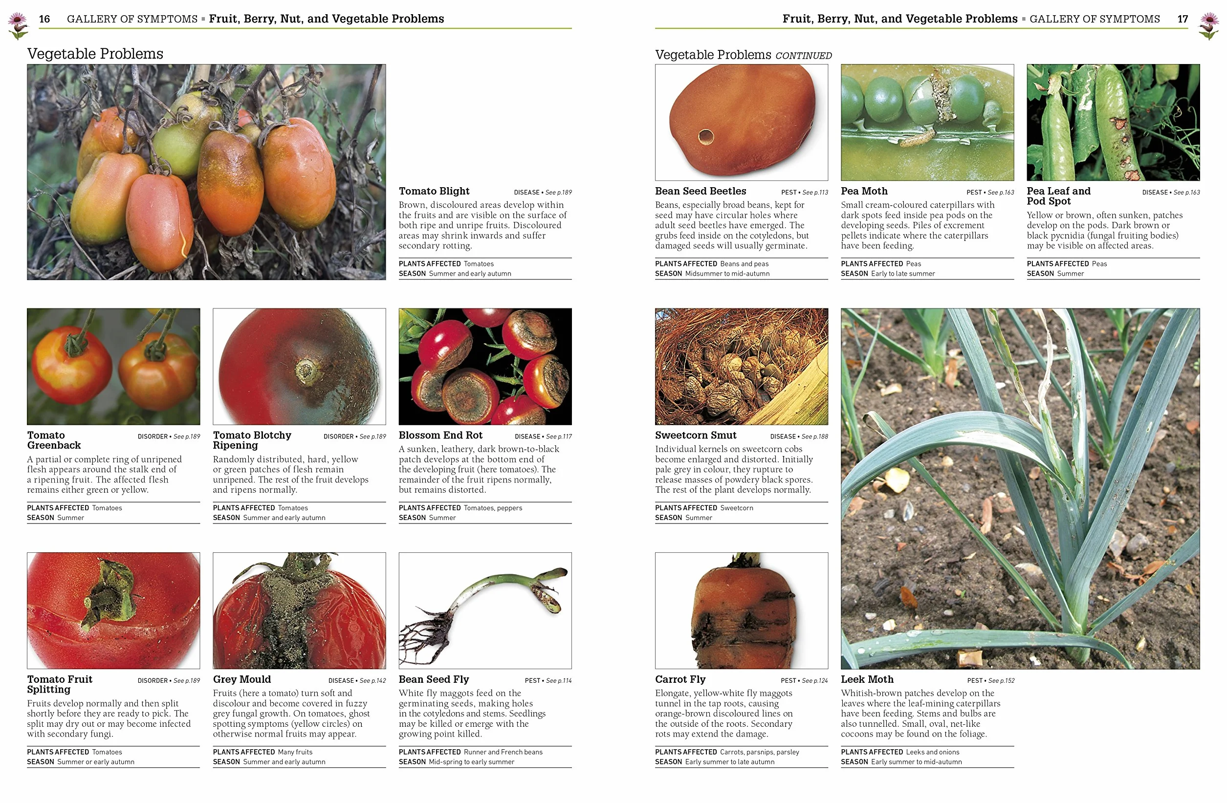 RHS Pests & Diseases: New Edition, Plant-by-plant Advice, Keep Your Produce and Plants Healthy