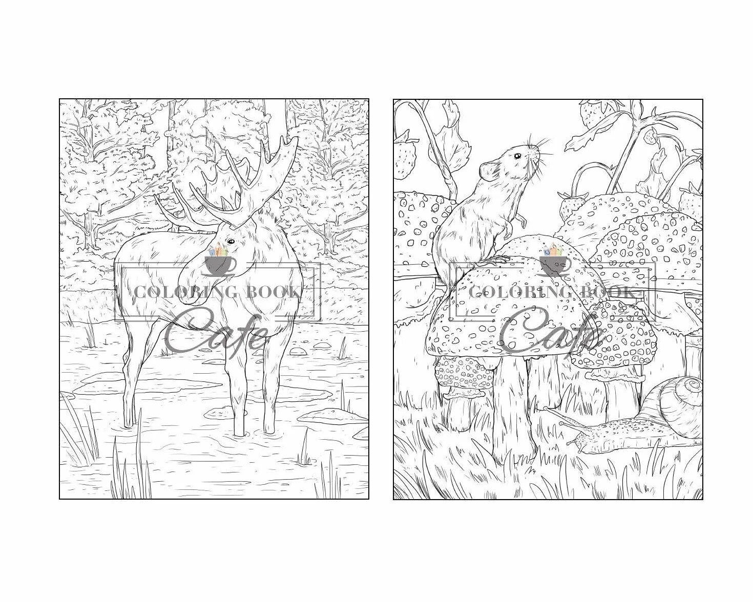100 Wildlife Scenes: An Adult Coloring Book Featuring 100 Most Beautiful Wildlife Scenes with Animals, Birds and Flowers from Oceans, Jungles, Forests and Savannas