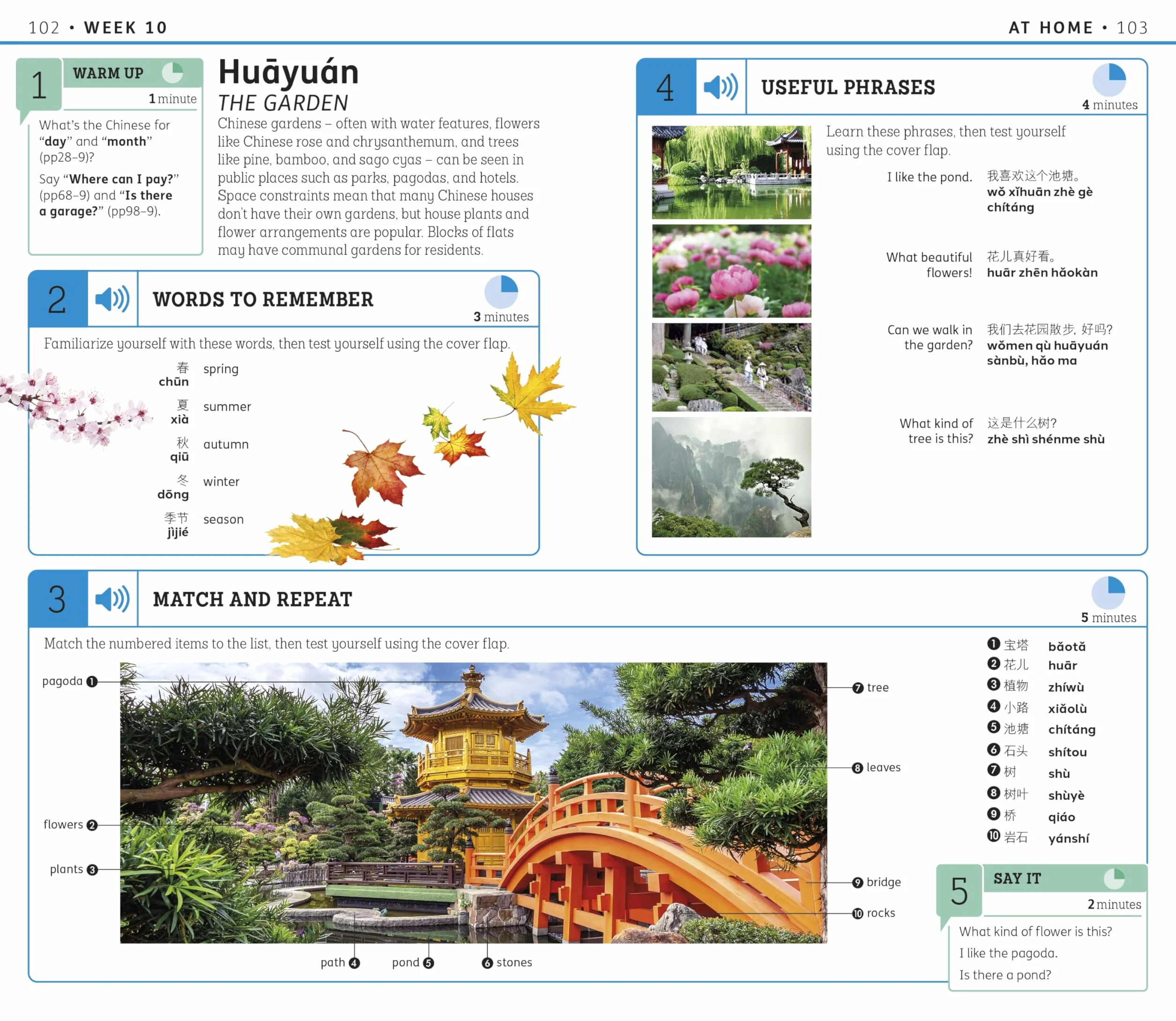 15 Minute Mandarin Chinese: Learn in Just 12 Weeks