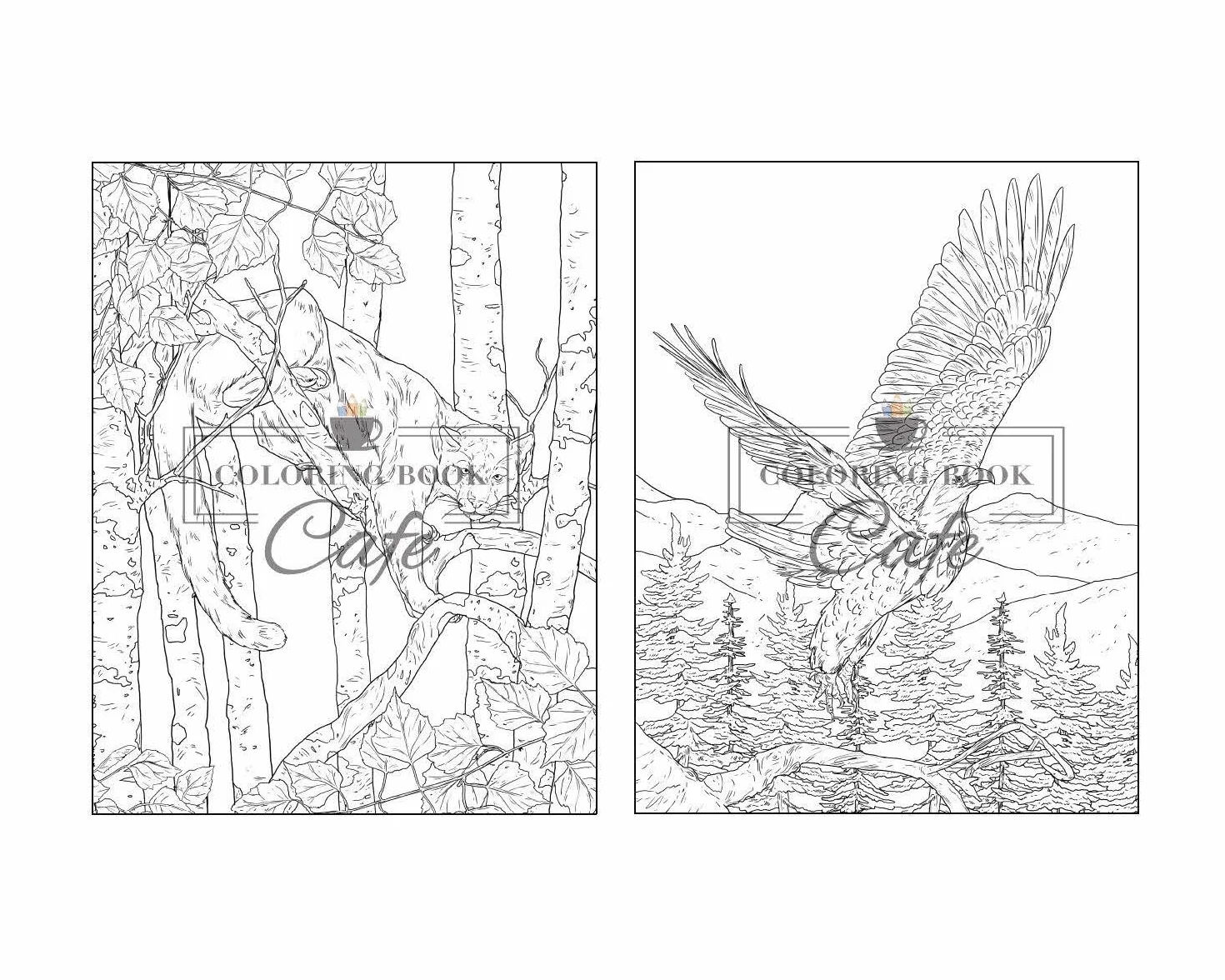 100 Wildlife Scenes: An Adult Coloring Book Featuring 100 Most Beautiful Wildlife Scenes with Animals, Birds and Flowers from Oceans, Jungles, Forests and Savannas