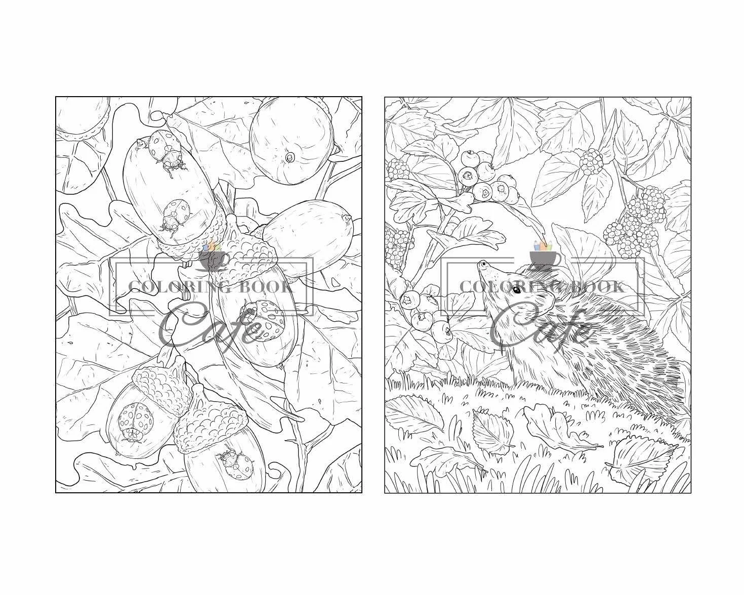 100 Wildlife Scenes: An Adult Coloring Book Featuring 100 Most Beautiful Wildlife Scenes with Animals, Birds and Flowers from Oceans, Jungles, Forests and Savannas