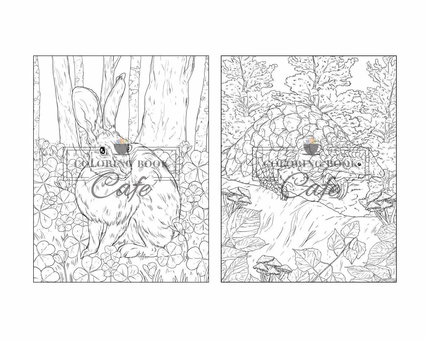 100 Wildlife Scenes: An Adult Coloring Book Featuring 100 Most Beautiful Wildlife Scenes with Animals, Birds and Flowers from Oceans, Jungles, Forests and Savannas