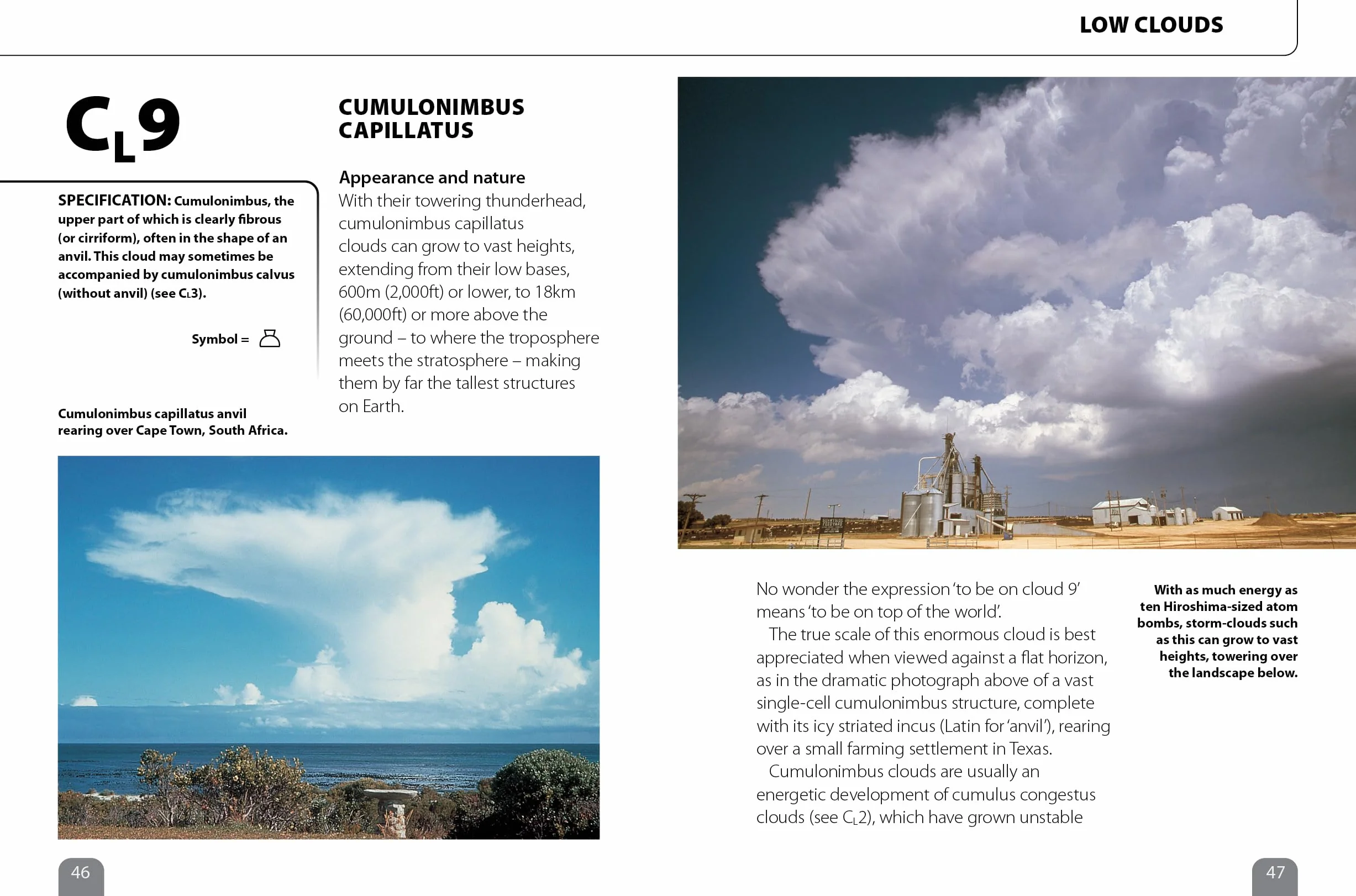 The Pocket Cloud Book Updated Edition: How to Understand the Skies in Association with the Met Office