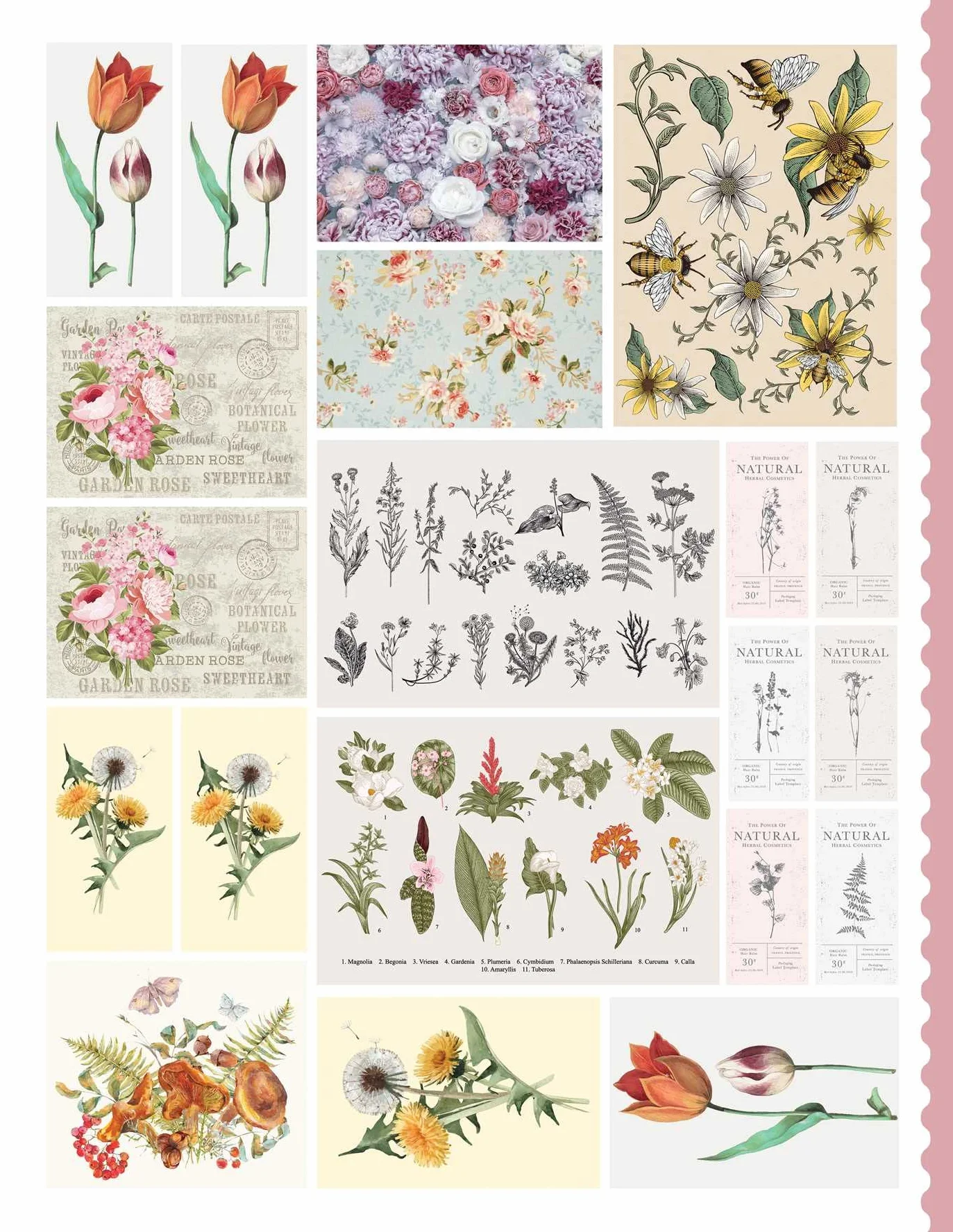 Junk Journal Cutouts: Vintage Designs: From Botanicals to Travel, 350+ Timeless Images for Creative Journaling