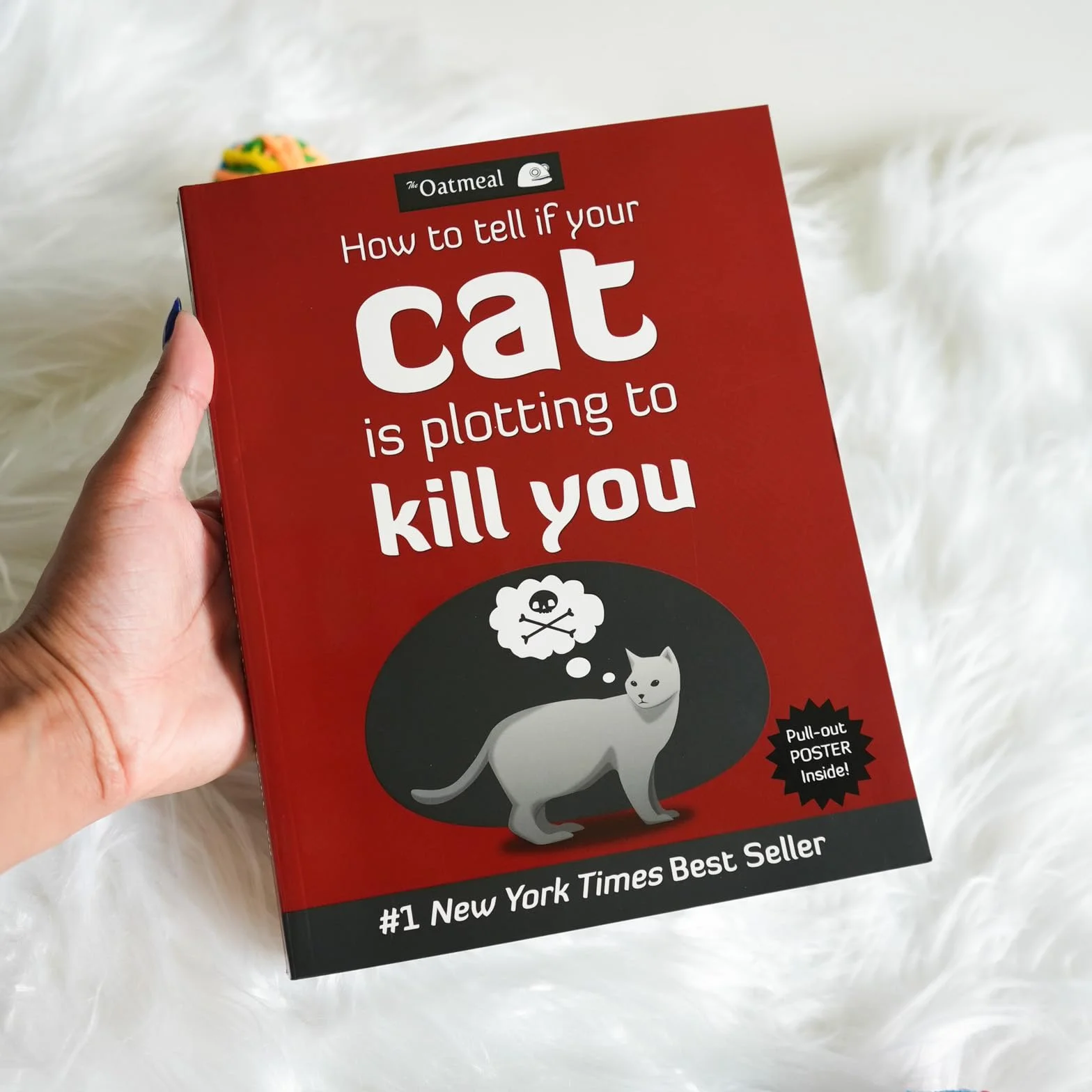 How to Tell If Your Cat Is Plotting to Kill You: 2