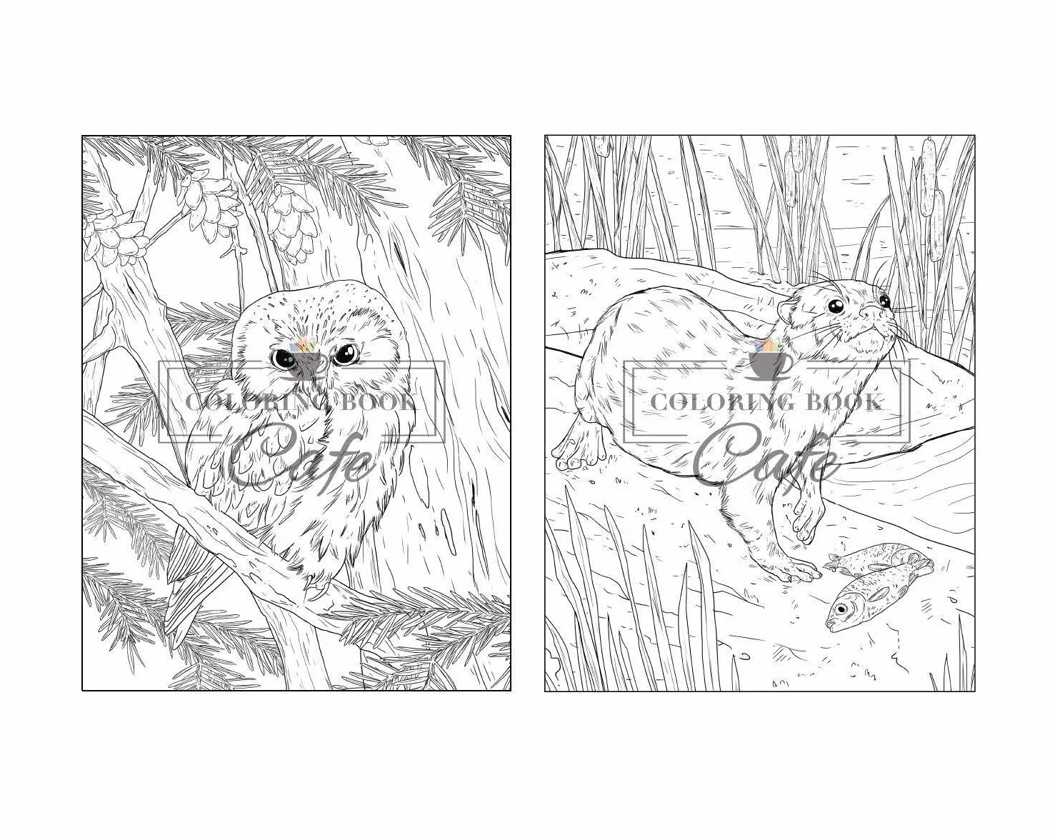 100 Wildlife Scenes: An Adult Coloring Book Featuring 100 Most Beautiful Wildlife Scenes with Animals, Birds and Flowers from Oceans, Jungles, Forests and Savannas