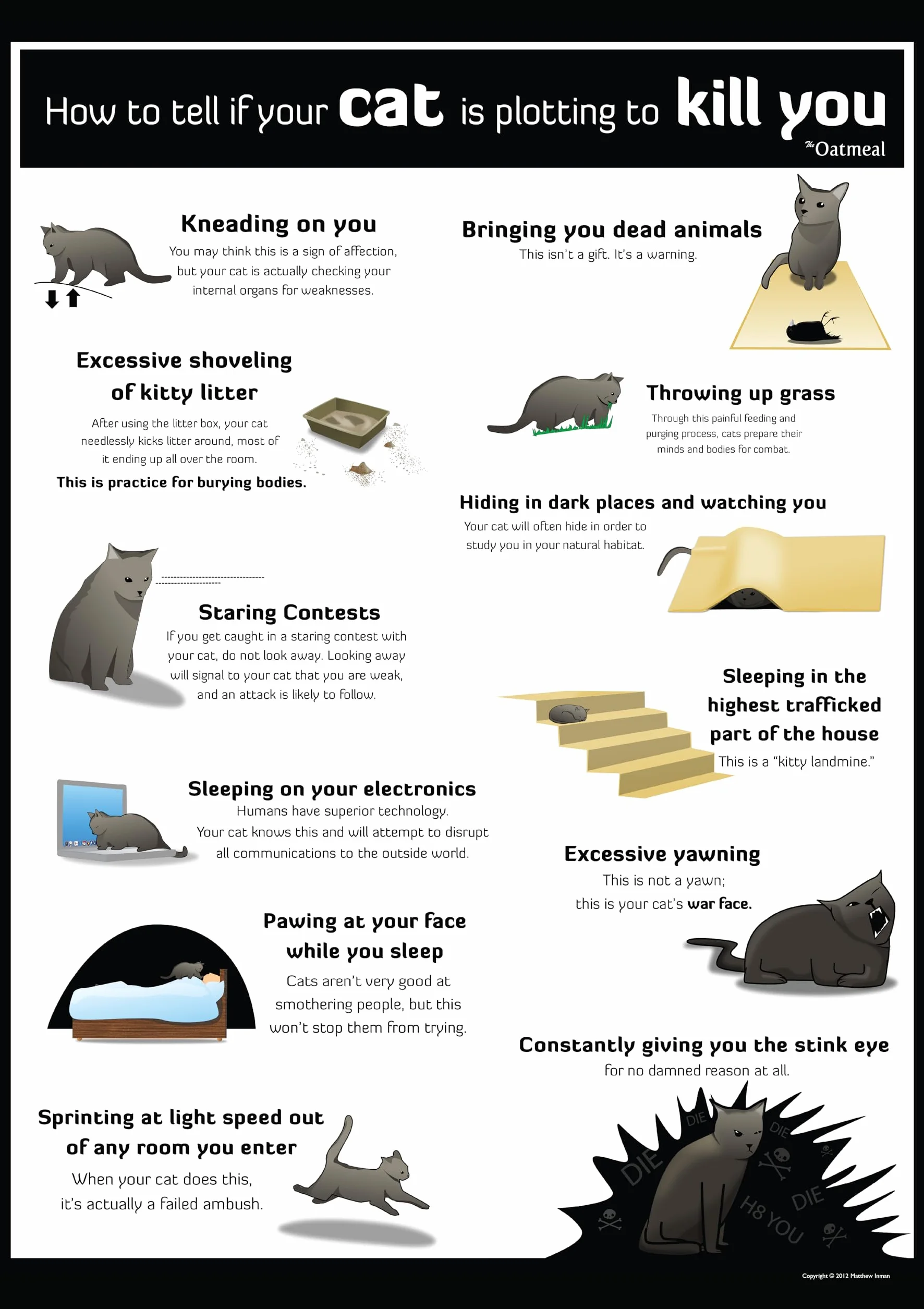 How to Tell If Your Cat Is Plotting to Kill You: 2