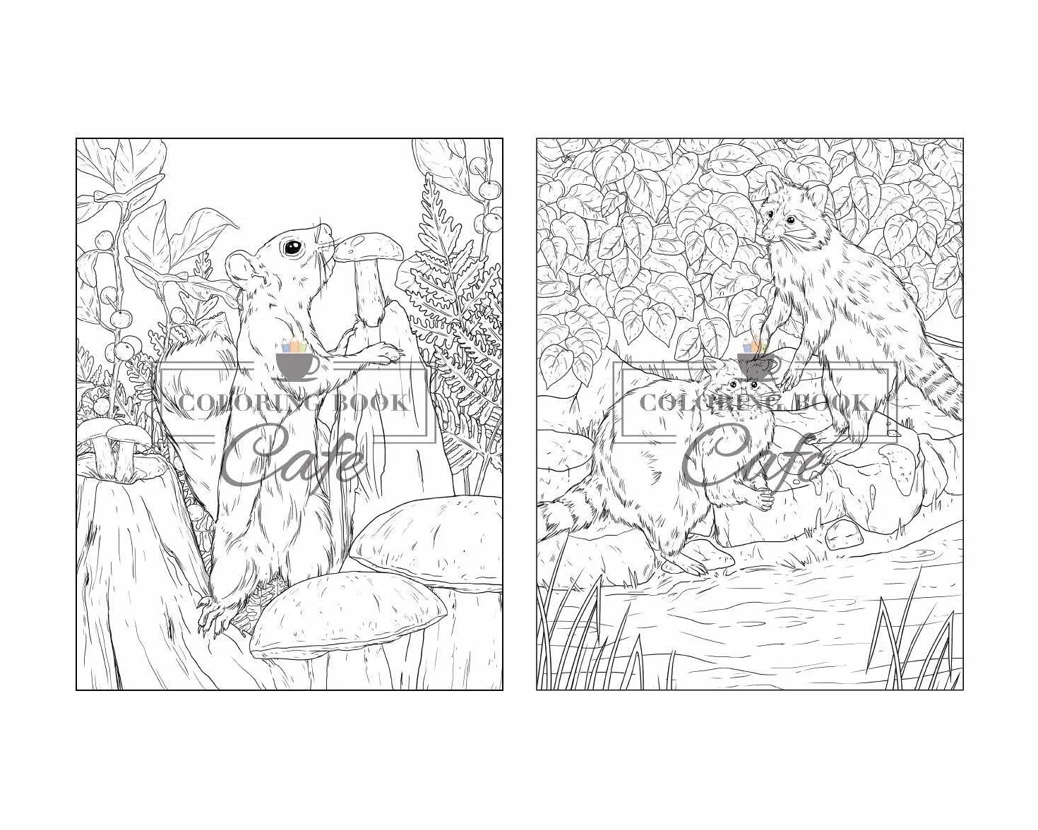 100 Wildlife Scenes: An Adult Coloring Book Featuring 100 Most Beautiful Wildlife Scenes with Animals, Birds and Flowers from Oceans, Jungles, Forests and Savannas