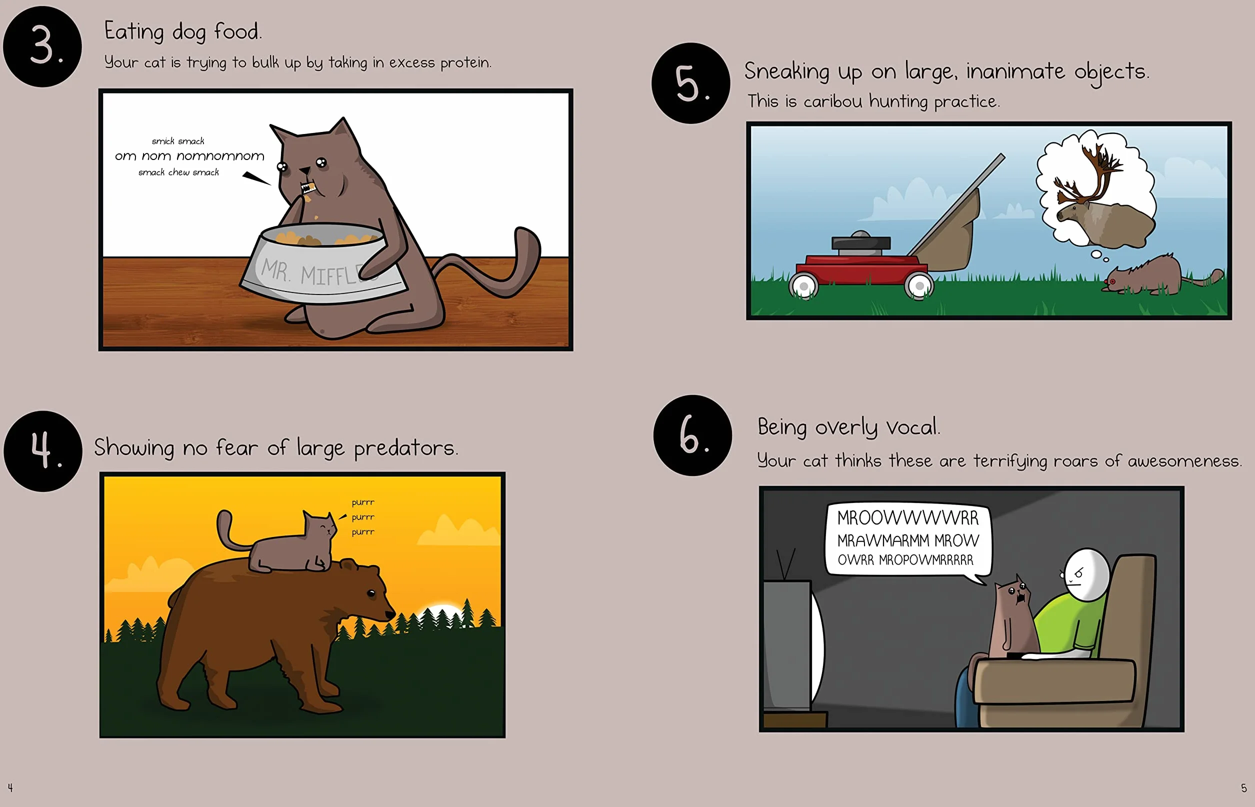 How to Tell If Your Cat Is Plotting to Kill You: 2