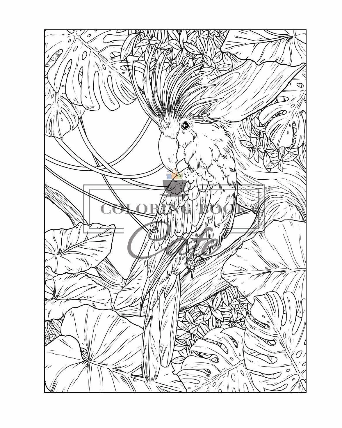 100 Wildlife Scenes: An Adult Coloring Book Featuring 100 Most Beautiful Wildlife Scenes with Animals, Birds and Flowers from Oceans, Jungles, Forests and Savannas