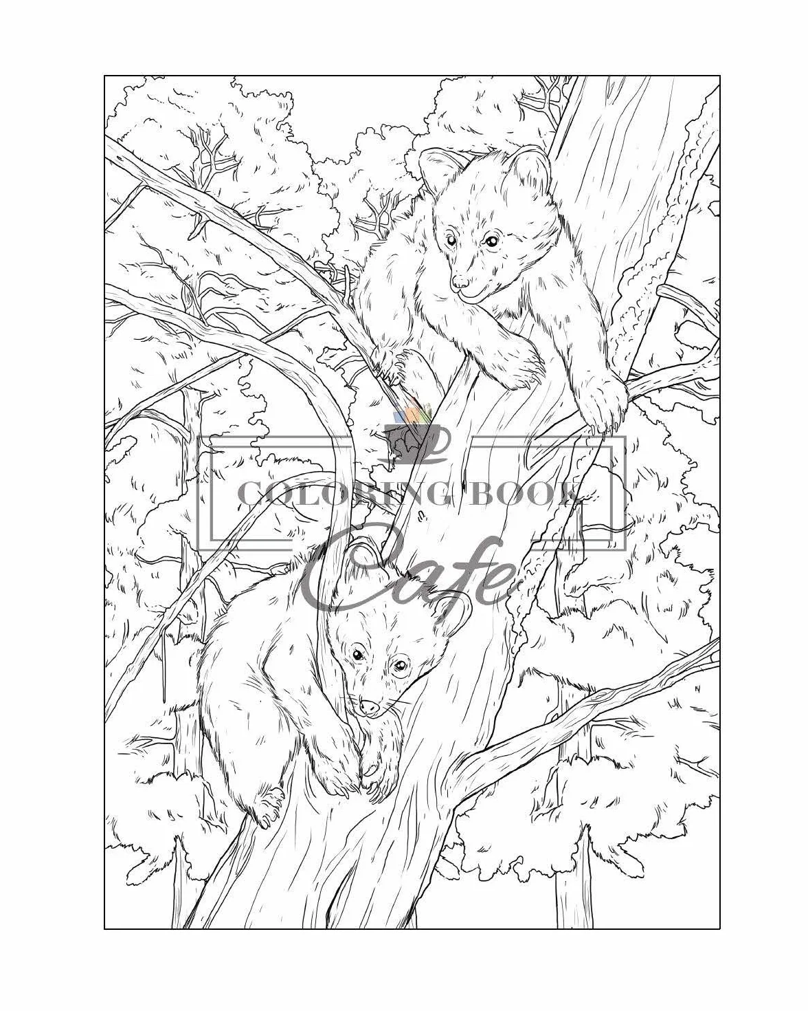 100 Wildlife Scenes: An Adult Coloring Book Featuring 100 Most Beautiful Wildlife Scenes with Animals, Birds and Flowers from Oceans, Jungles, Forests and Savannas