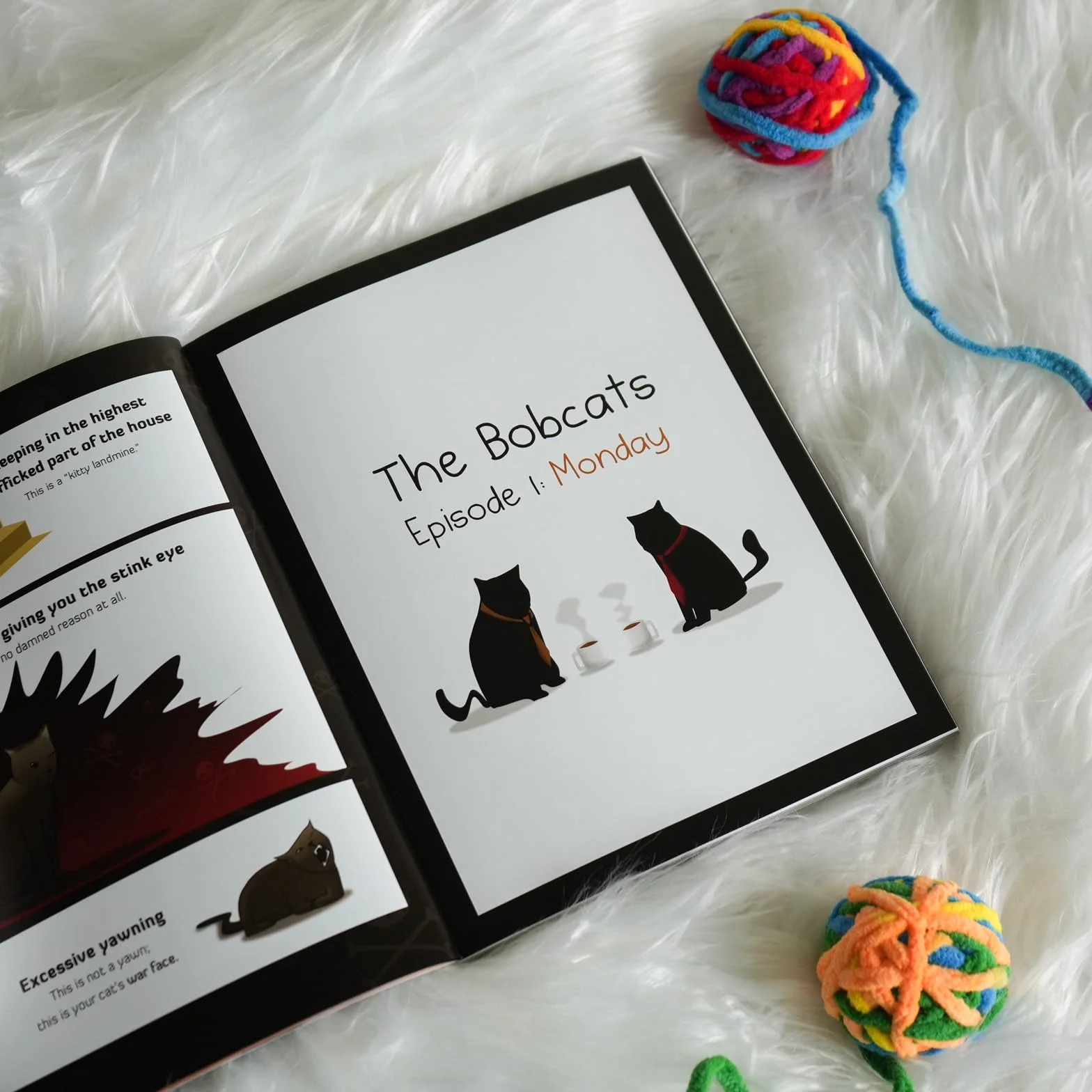 How to Tell If Your Cat Is Plotting to Kill You: 2