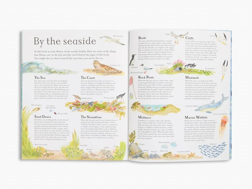 Mouse by the Sea (Paperback) /anglais