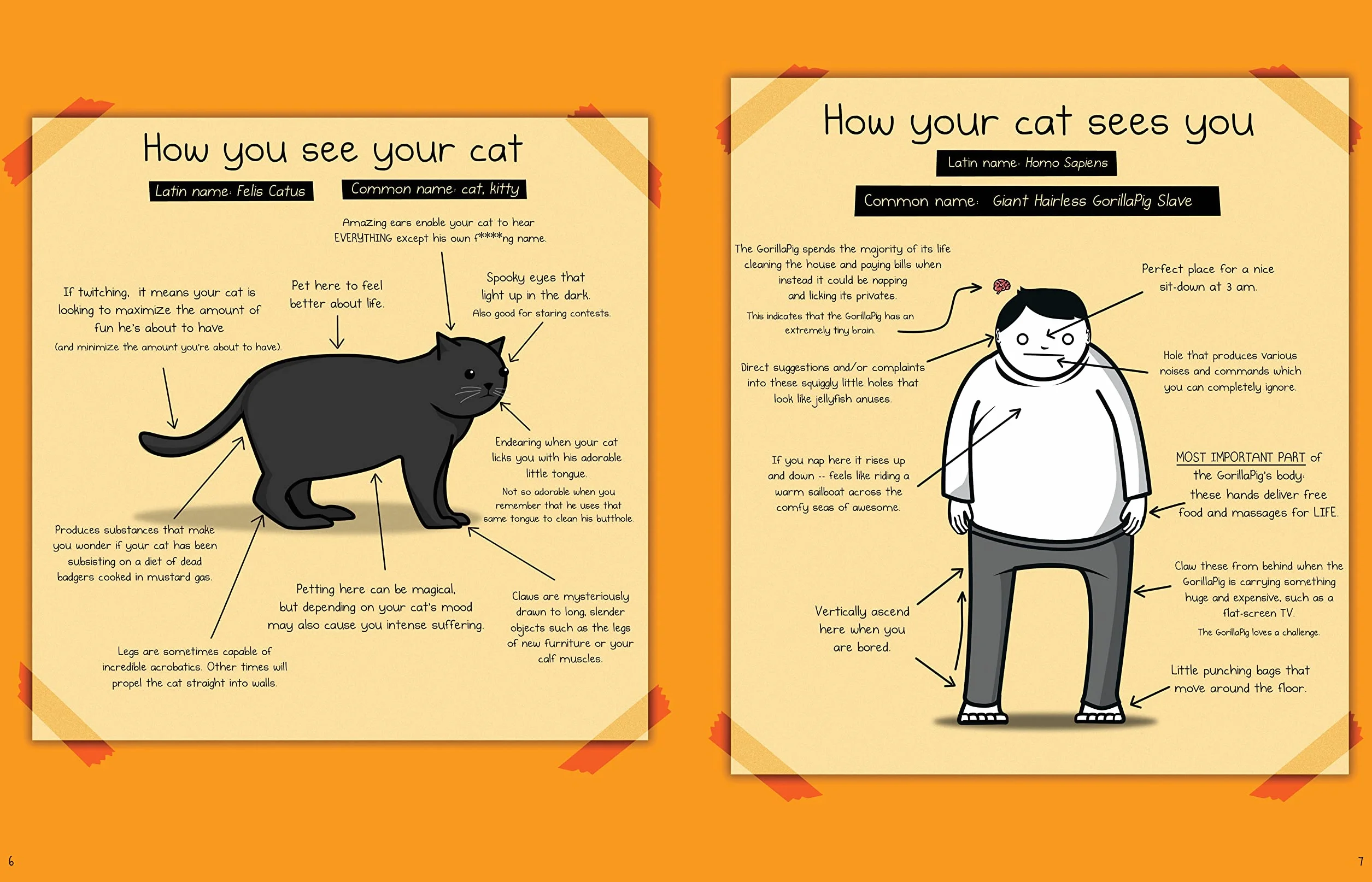 How to Tell If Your Cat Is Plotting to Kill You: 2