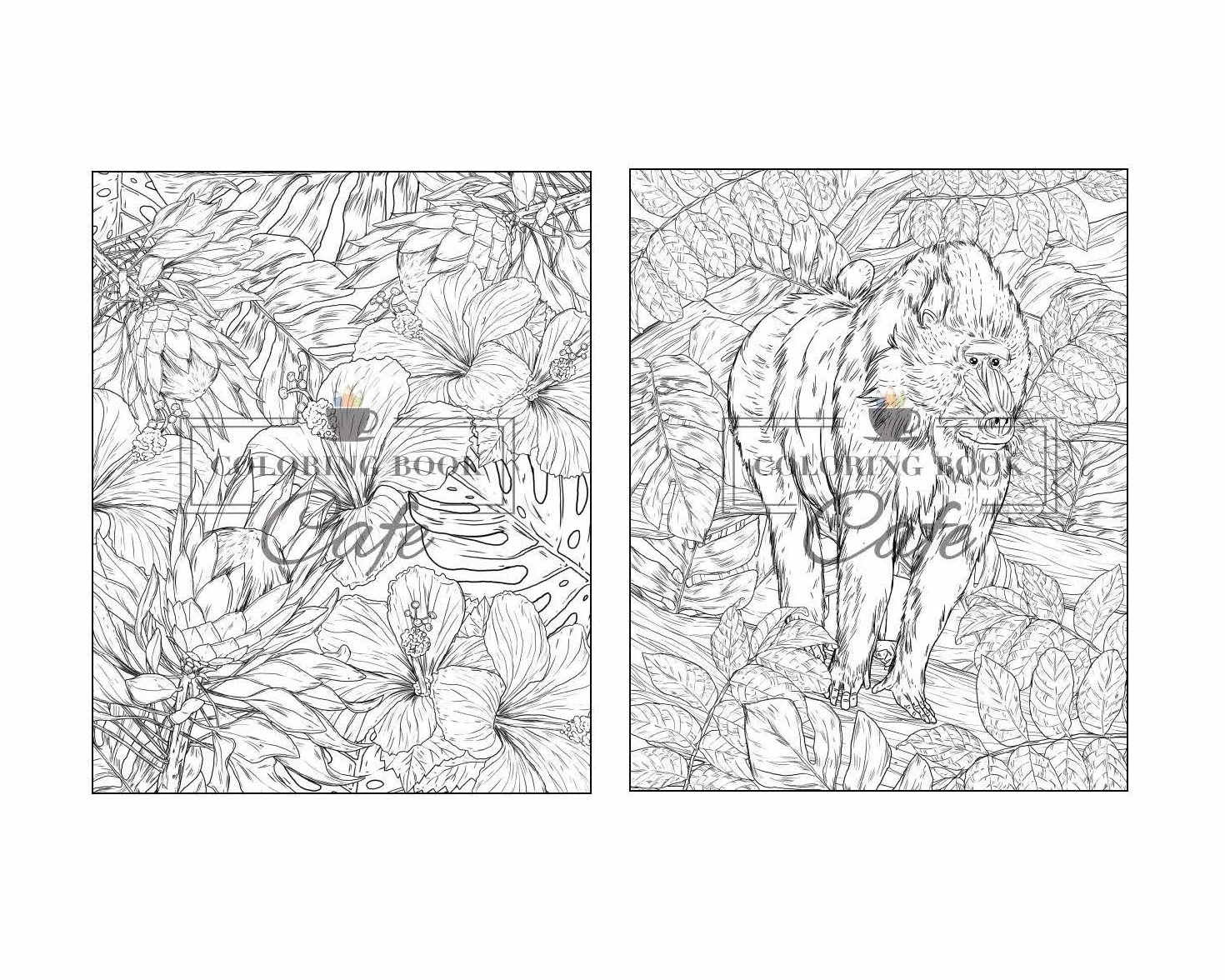100 Wildlife Scenes: An Adult Coloring Book Featuring 100 Most Beautiful Wildlife Scenes with Animals, Birds and Flowers from Oceans, Jungles, Forests and Savannas