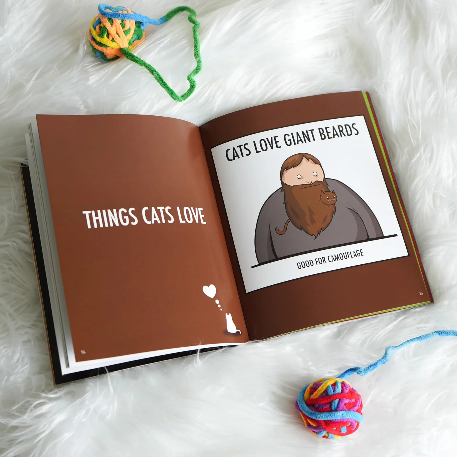 How to Tell If Your Cat Is Plotting to Kill You: 2