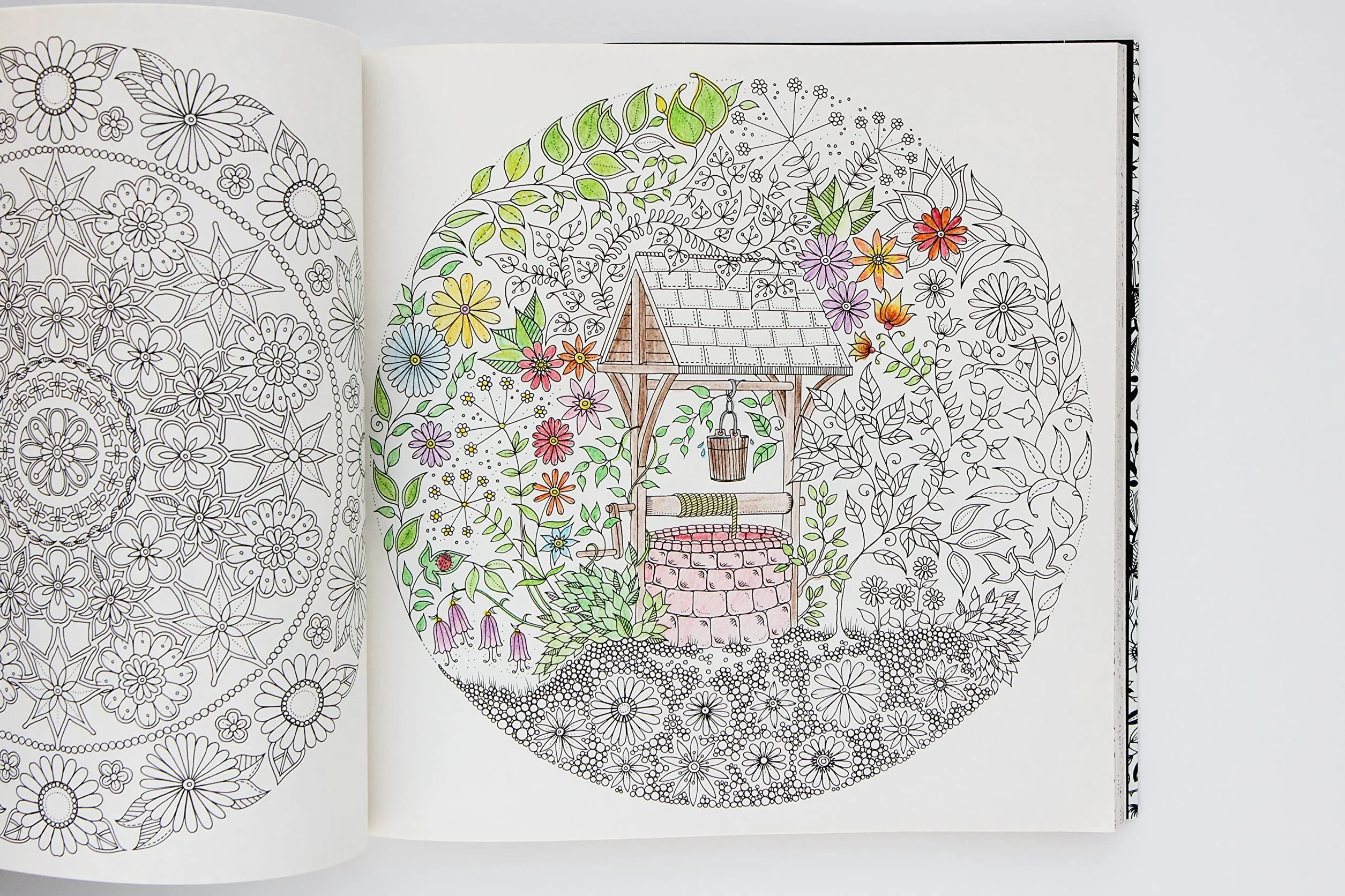 Secret Garden: An Inky Treasure Hunt and Colouring Book: 1: An Inky Treasure Hunt and Coloring Book for Adults
