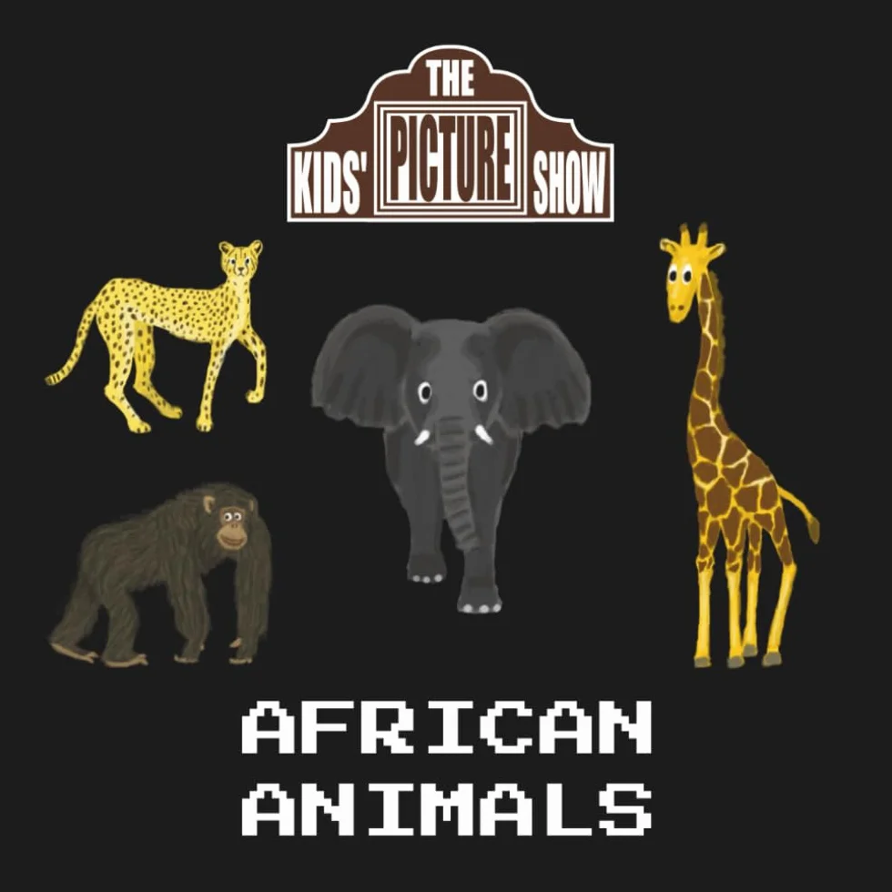 African Animals