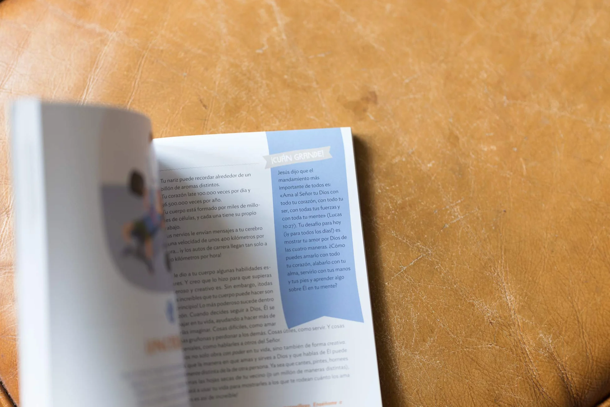 ¡Cuán Grande Es Nuestro Dios!: 100 Devocionales Indescriptibles Acerca de Dios Y La Ciencia