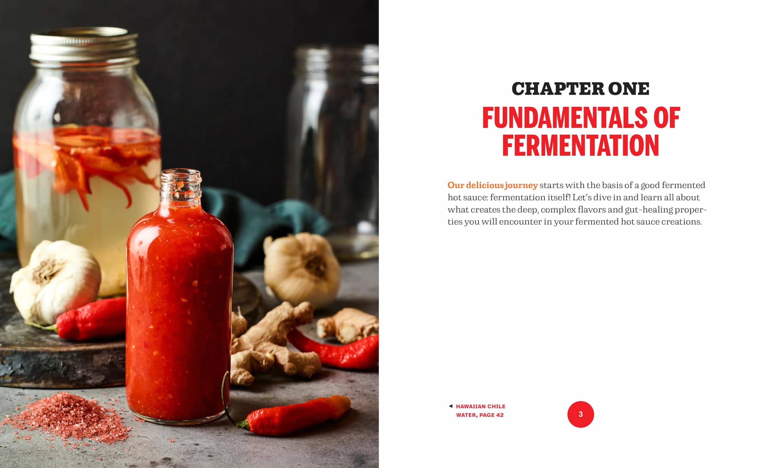 Fermented Hot Sauce Cookbook: A Step-By-Step Guide to Making Hot Sauce from Scratch