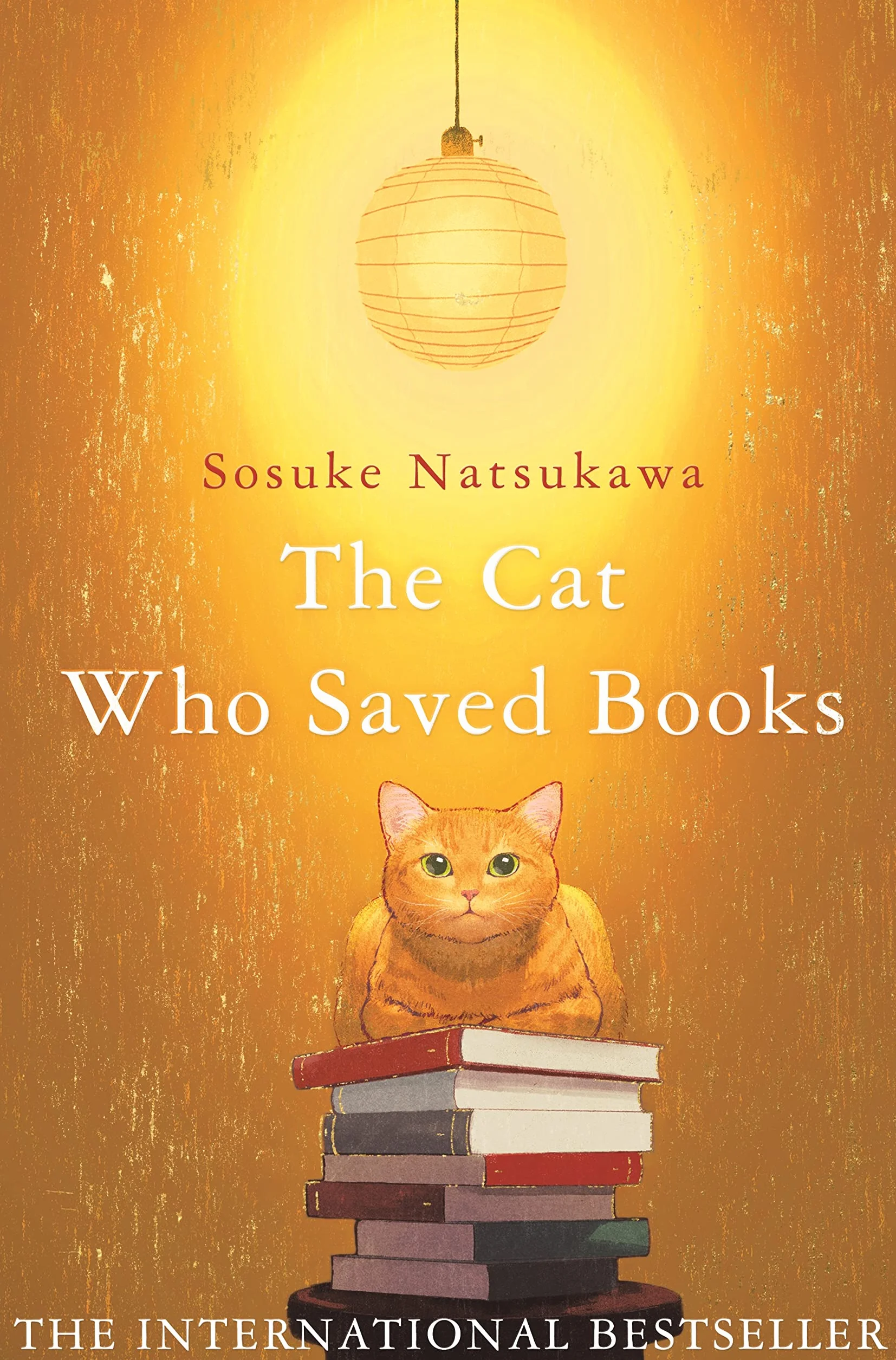 The Cat Who Saved Books: Sosuke Natsukawa