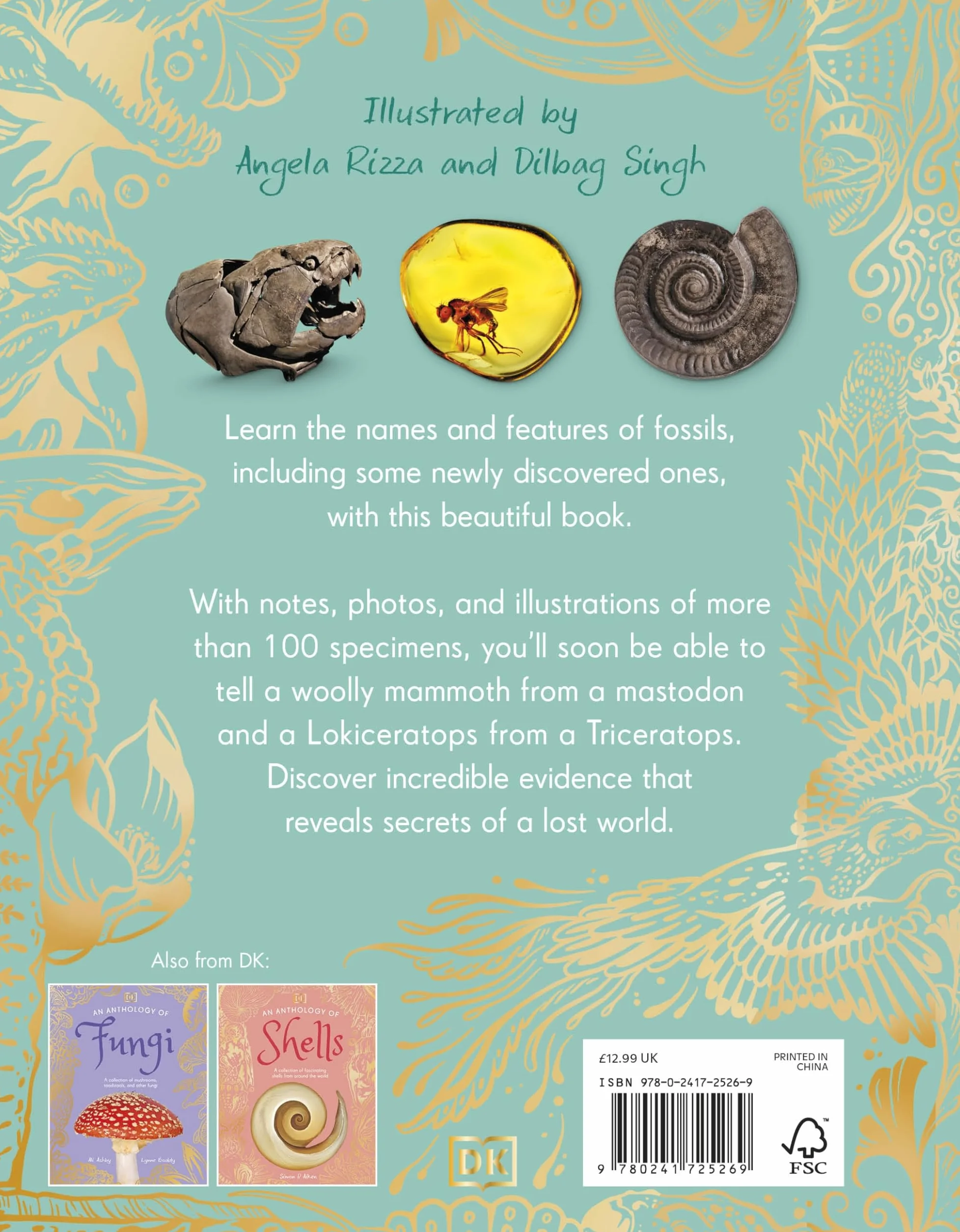 An Anthology of Fossils: A Collection of Plant and Animal Fossils From Around the World