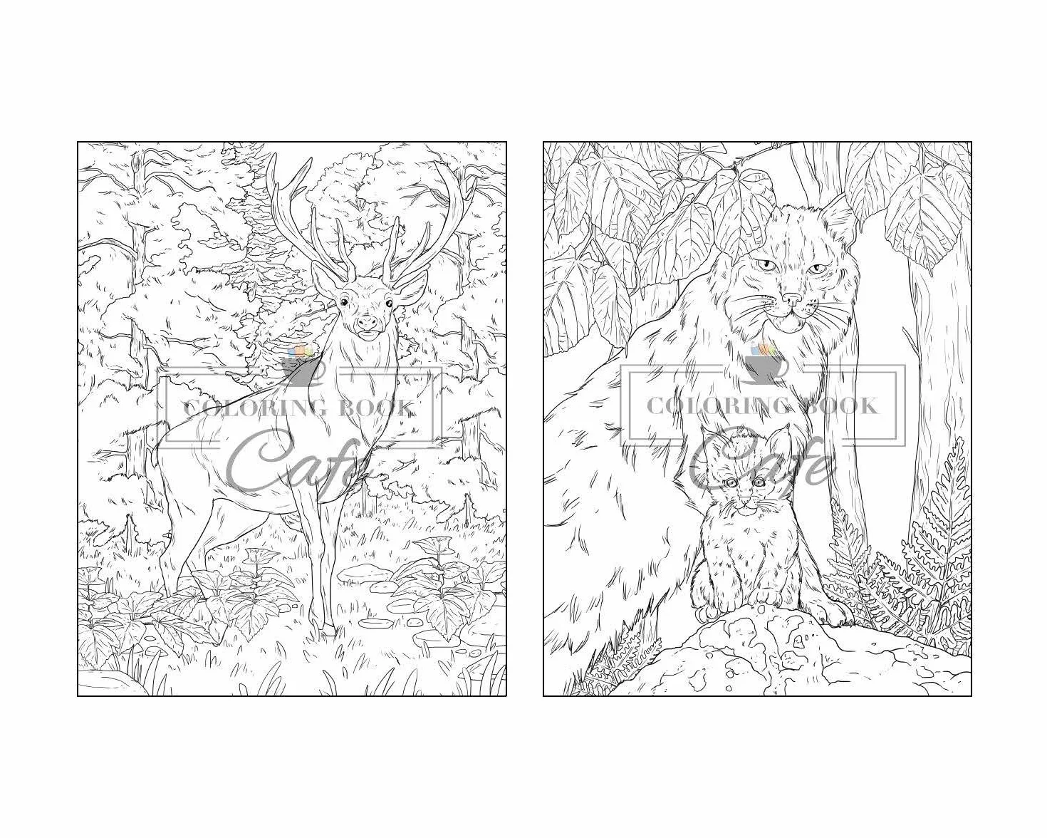 100 Wildlife Scenes: An Adult Coloring Book Featuring 100 Most Beautiful Wildlife Scenes with Animals, Birds and Flowers from Oceans, Jungles, Forests and Savannas