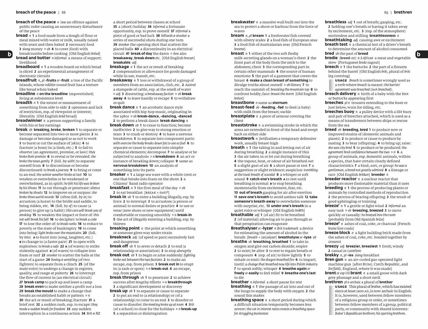 English Dictionary Essential: Your day-to-day reliable English dictionary essentials