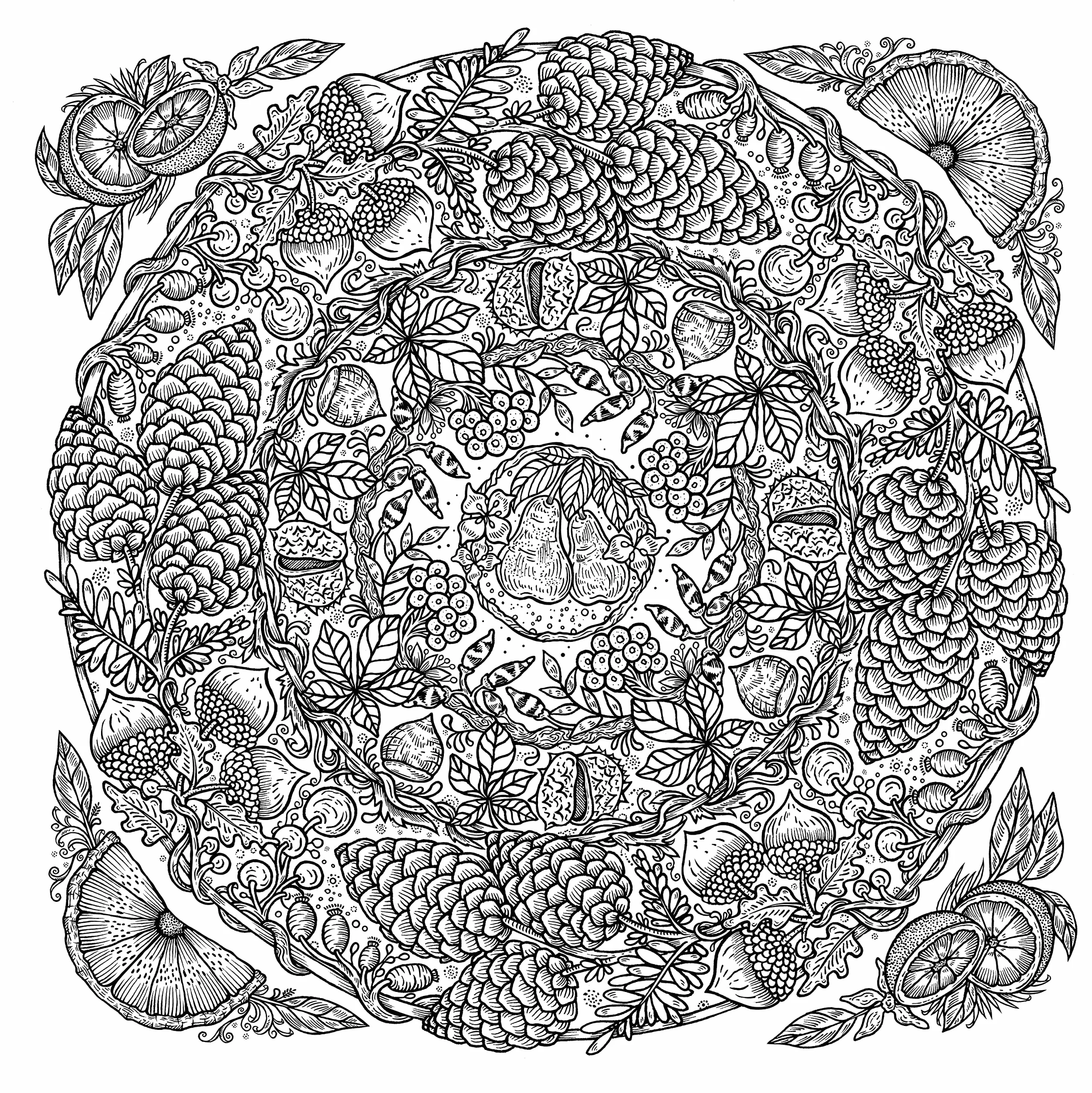 Nature Mandalas: A Colouring Meditation