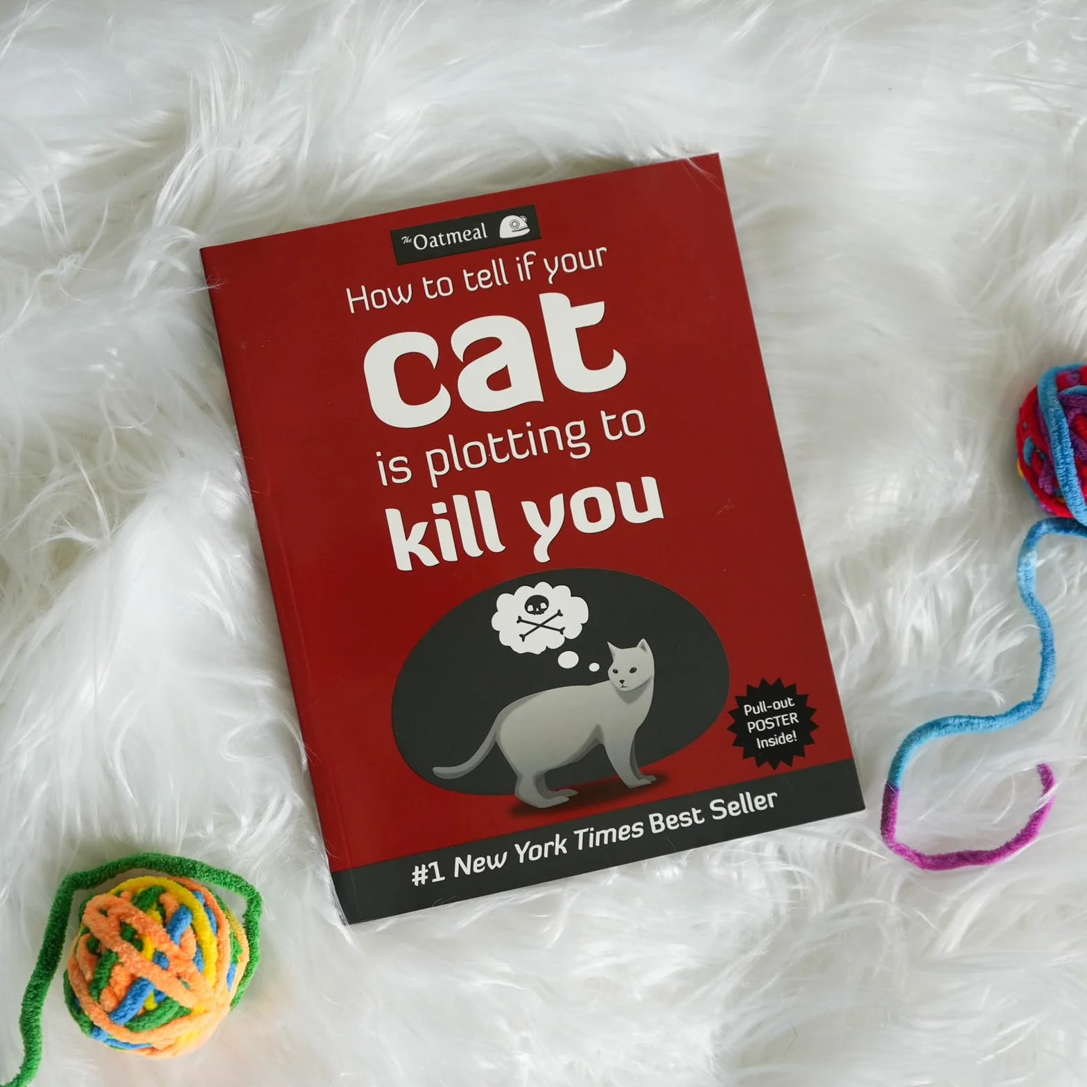 How to Tell If Your Cat Is Plotting to Kill You: 2