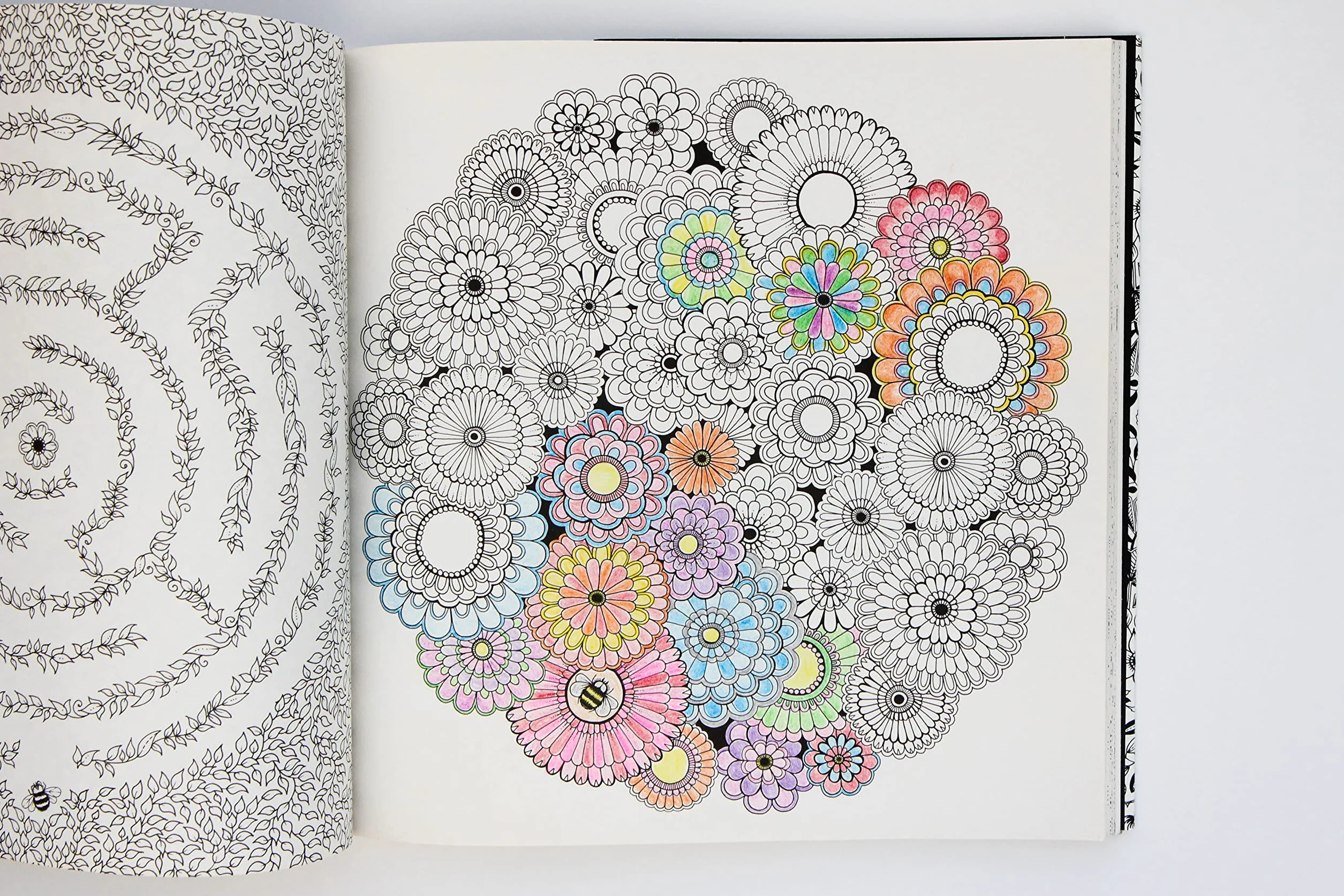 Secret Garden: An Inky Treasure Hunt and Colouring Book: 1: An Inky Treasure Hunt and Coloring Book for Adults