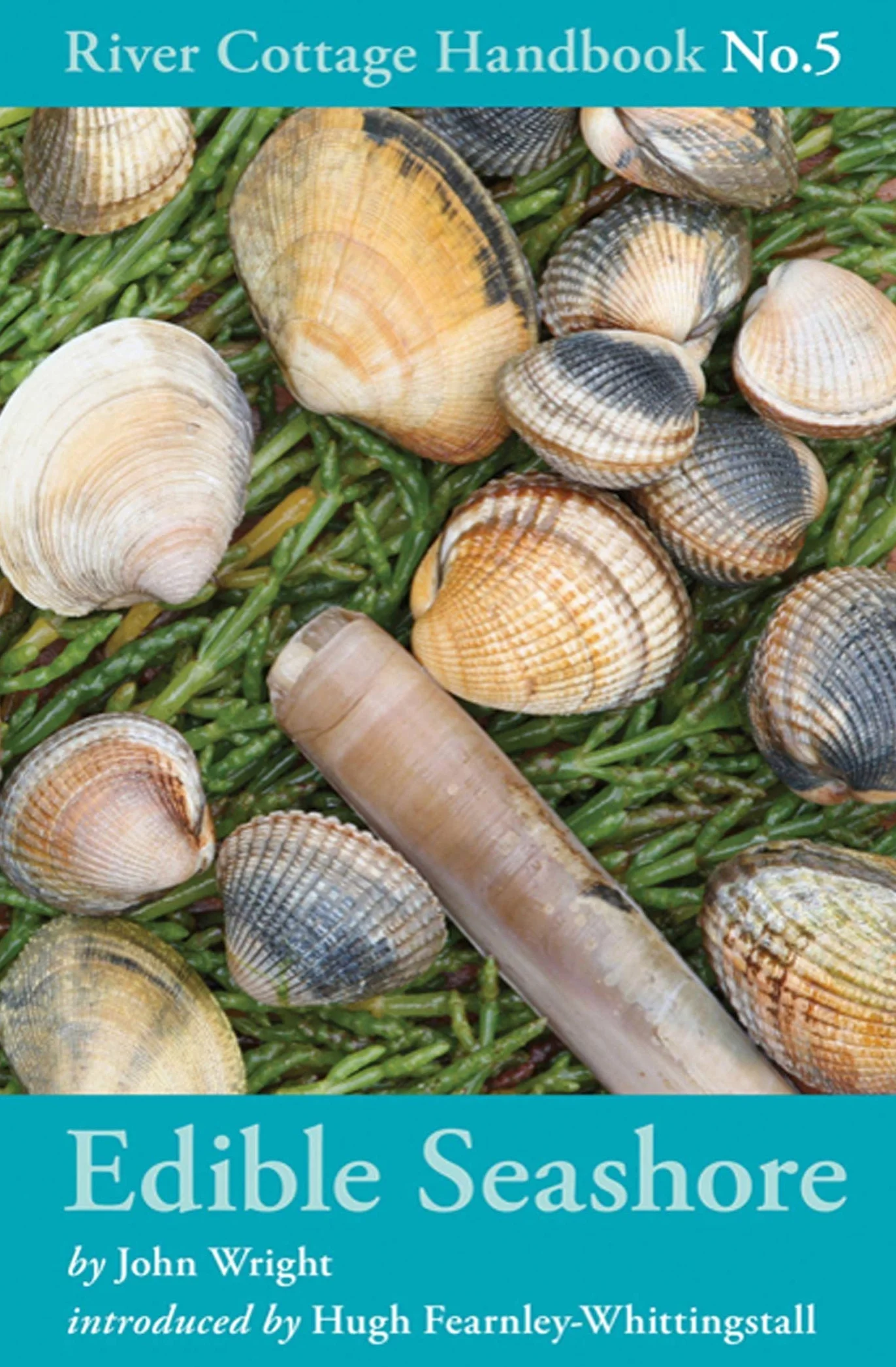 Edible Seashore