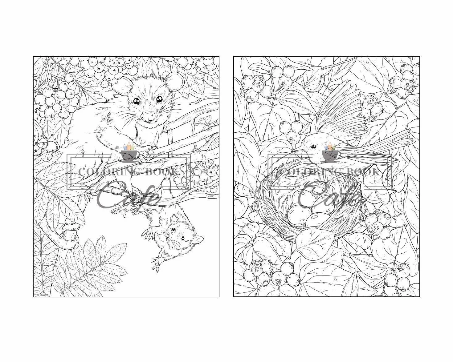 100 Wildlife Scenes: An Adult Coloring Book Featuring 100 Most Beautiful Wildlife Scenes with Animals, Birds and Flowers from Oceans, Jungles, Forests and Savannas