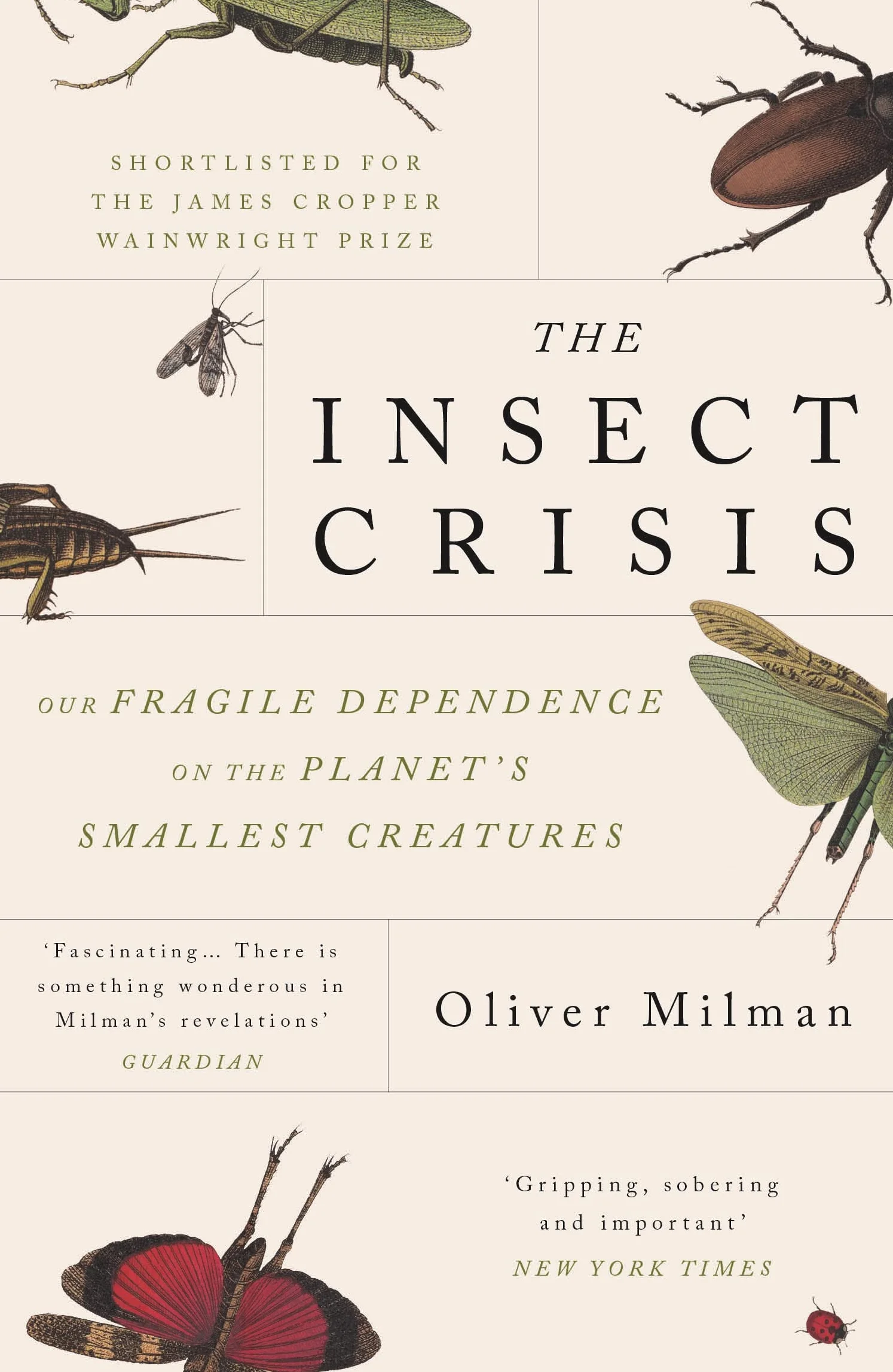 The Insect Crisis: Our Fragile Dependence on the Planet's Smallest Creatures
