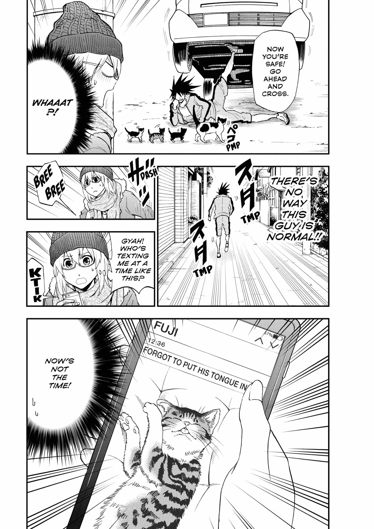 Cat + Crazy Volume 2